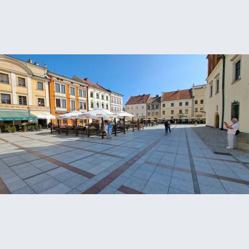 Wyjazdowe Posiedzenie Zarządu SEP 13-14.09.2025 r. Tarnów-Bochnia-Niepołomice
